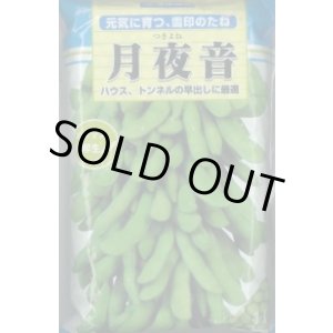 画像: [枝豆]　月夜音　1L　雪印種苗(株)