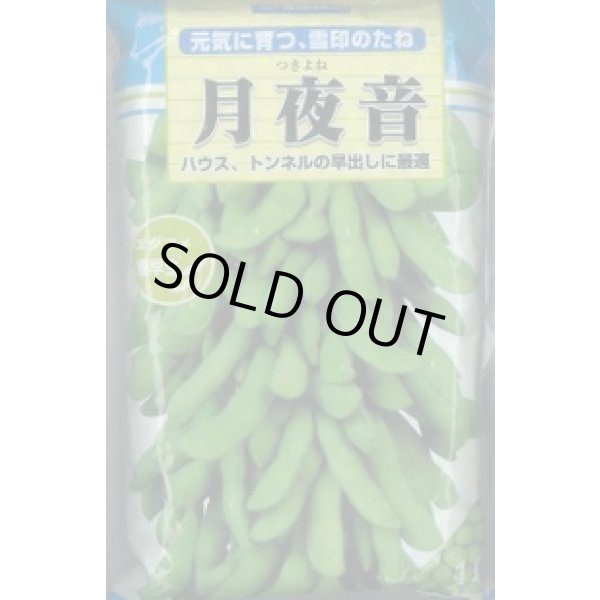 画像1: [枝豆]　月夜音　1L　雪印種苗(株) (1)