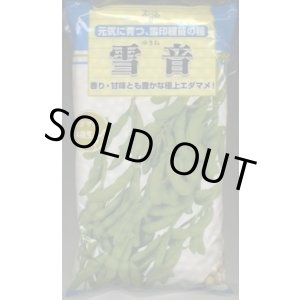 画像: [枝豆]　雪音　1L　雪印種苗(株)