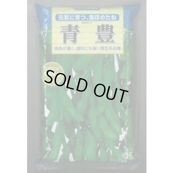 画像1: [枝豆]　青豊　1L　雪印種苗(株) (1)