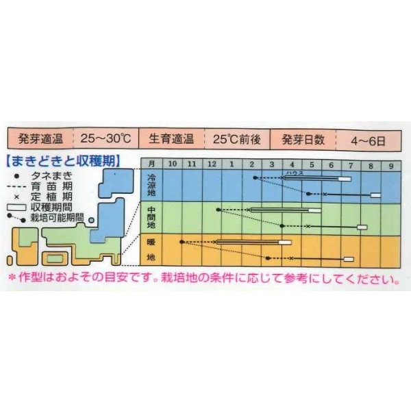 画像2: 送料無料　[スイカ]　大玉スイカ　夏武輝　9粒　タキイ種苗(株)　DF (2)