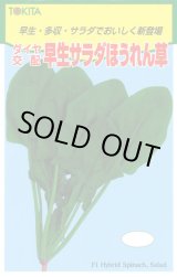 画像: 送料無料　[ほうれんそう]　早生サラダほうれんそう　1dl　トキタ種苗(株)