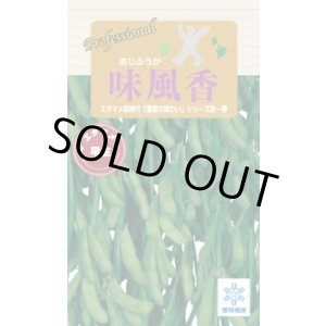 画像: 送料無料　[枝豆]　味風香　70ml(およそ160粒)　雪印種苗(株)