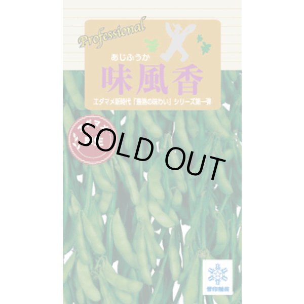 画像1: 送料無料　[枝豆]　味風香　70ml(およそ160粒)　雪印種苗(株) (1)