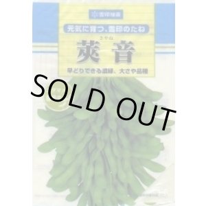 画像: [枝豆]　莢音　1L　雪印種苗(株)