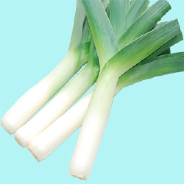 画像2: 送料無料　[リーキ]　　ポトフ・ルフレ　40粒　渡辺農事（株） (2)