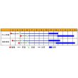 画像3: [ねぎ]　リーキ ポトフ・ルフレ　40粒　渡辺農事 (3)