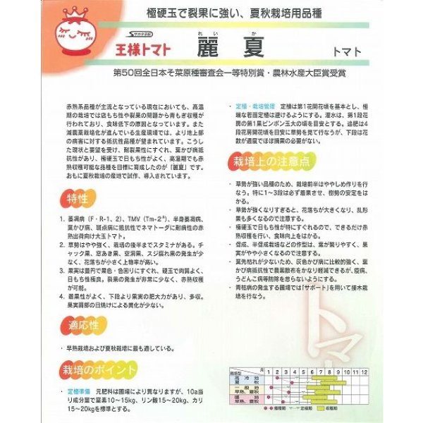 画像5: 送料無料 [トマト] 麗夏 1000粒 (株)サカタのタネ (5)