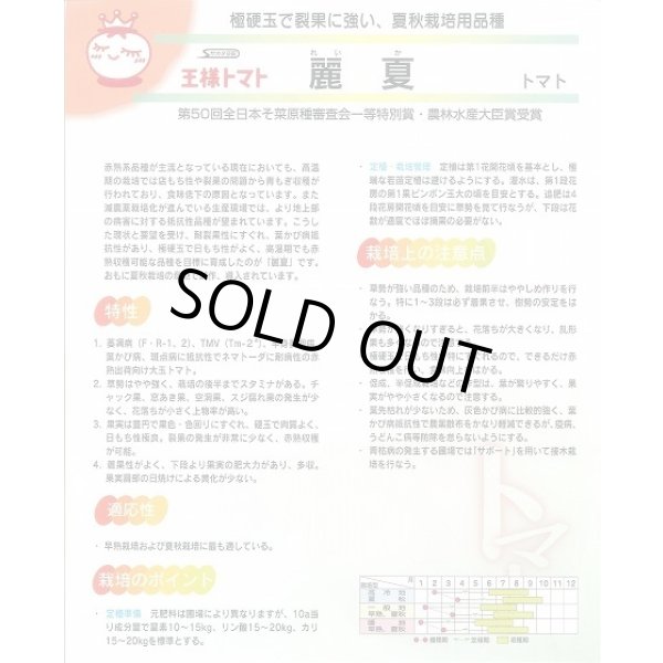 画像5: 送料無料　[トマト]　麗夏　21粒　(株)サカタのタネ　実咲550 （002815） (5)