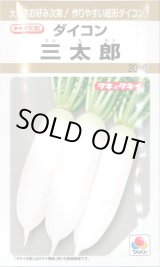 画像: 送料無料　[大根]　三太郎　20ml　タキイ種苗(株)