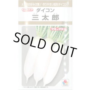 画像: 送料無料　[大根]　三太郎　20ml　タキイ種苗(株)