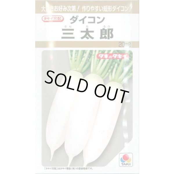 画像1: 送料無料　[大根]　三太郎　20ml　タキイ種苗(株) (1)