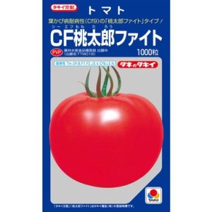 画像: [トマト/桃太郎系]　送料無料！　CF桃太郎ファイト　1000粒 貴種（コートしてません） 　タキイ種苗（株）