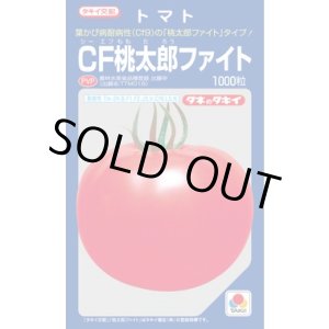 画像: 送料無料　[トマト/桃太郎系]　CF桃太郎ファイト　1000粒　貴種(コートしてません)　タキイ種苗(株)