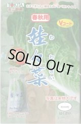 画像: 送料無料　[白菜]　娃々菜　春秋用　1g(約300粒)　トキタ種苗(株)