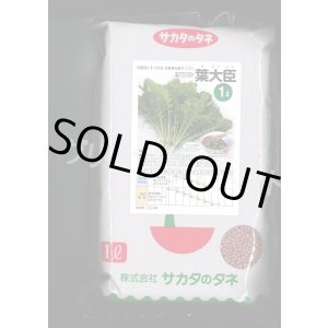 画像: [大根] 葉ダイコン 葉大臣 1L (株)サカタのタネ