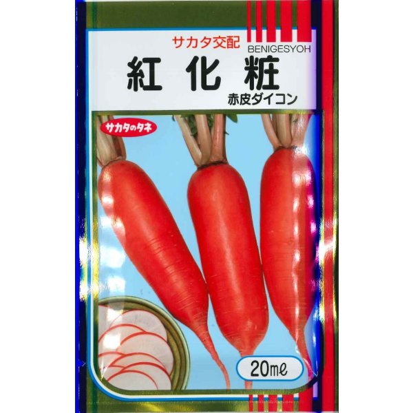画像1: 送料無料　[大根]　紅化粧　20ml　(株)サカタのタネ (1)