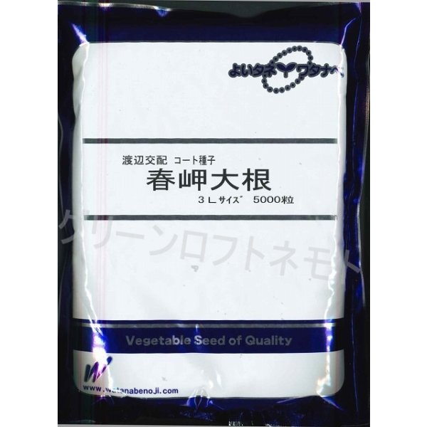 画像2: 送料無料　[大根]　春岬　ペレット種子3L　5000粒　渡辺農事（株） (2)