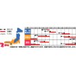 画像3: [大根]　はつかだいこん　レッドチャイム　20ｍｌ　サカタ交配　 (3)