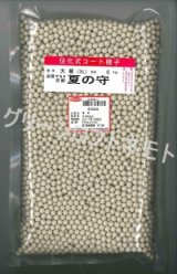 画像: 送料無料 [大根] 夏の守 ペレット種子5000粒 (株)サカタのタネ