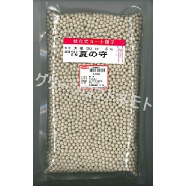 画像1: 送料無料　[大根]　夏の守　ペレット5000粒　(株)サカタのタネ (1)