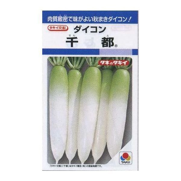 画像1: [大根] 千都 9ml タキイ種苗(株) DF (1)