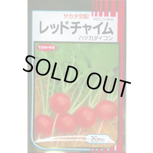 画像: 送料無料　[大根]　はつかだいこん　レッドチャイム　20ml　(株)サカタのタネ