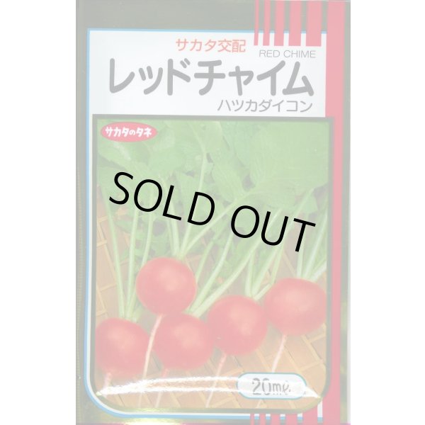 画像1: [大根] はつかだいこん レッドチャイム 20ml (株)サカタのタネ (1)