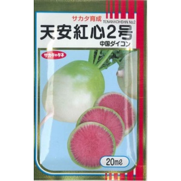 画像1: [大根] 天安紅心2号 20ml (株)サカタのタネ (1)