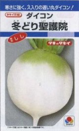 画像: 送料無料　大根　冬どり聖護院　18ml　タキイ種苗(株)　DF