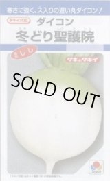 画像: 送料無料　大根　冬どり聖護院　18ml　タキイ種苗(株)　DF