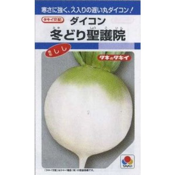 画像1: 送料無料　大根　冬どり聖護院　18ml　タキイ種苗(株)　DF (1)