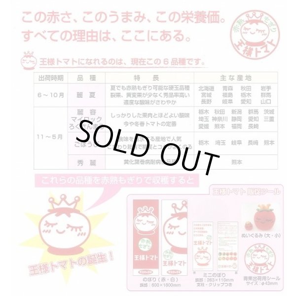 画像3: 送料無料　[トマト]　麗夏　21粒　(株)サカタのタネ　実咲550 （002815） (3)