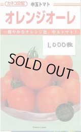 画像: 送料無料　[トマト/中玉トマト]　オレンジオーレ　1000粒　カネコ種苗（株）