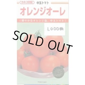 画像: 送料無料　[トマト/中玉トマト]　オレンジオーレ　1000粒　カネコ種苗（株）