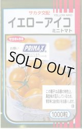 画像: 送料無料 [トマト/ミニトマト] イエローアイコ 1000粒 (株)サカタのタネ