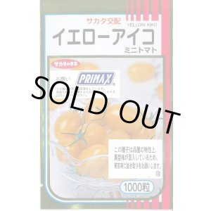 画像: 送料無料 [トマト/ミニトマト] イエローアイコ 1000粒 (株)サカタのタネ