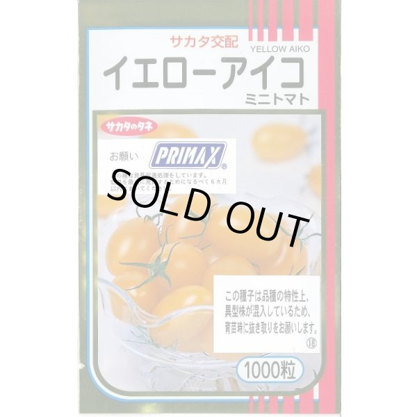画像1: 送料無料 [トマト/ミニトマト] イエローアイコ 1000粒 (株)サカタのタネ (1)