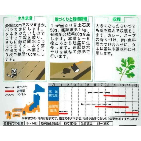 画像3: [ハーブの種]　パクチー　約250粒　サカタのタネ　実咲 (3)