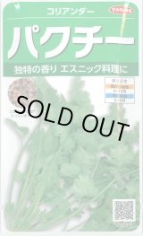 画像: 送料無料　[ハーブの種]　パクチー　約250粒　(株)サカタのタネ　実咲250（002996）