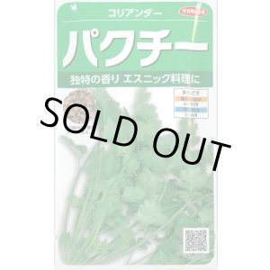 画像: 送料無料　[ハーブの種]　パクチー　約250粒　(株)サカタのタネ　実咲250（002996）