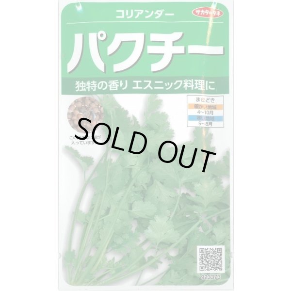画像1: [ハーブの種] パクチー 約250粒 (株)サカタのタネ 実咲250(002996) (1)