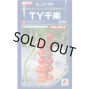 画像: 送料無料　[トマト/ミニトマト]　ＴＹ千果　1000粒　タキイ種苗(株)