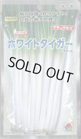 画像: 送料無料　[ねぎ]　ホワイトタイガー　1dl　タキイ種苗(株)