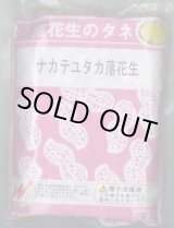 画像: [落花生]　ナカテユタカ　1L(約590粒)　渡辺農事（株）
