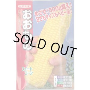 画像: 送料無料　[とうもろこし]　おおもの　200粒　ナント種苗(株)