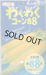 画像: [とうもろこし]　わくわくコーン88　2000粒　カネコ種苗（株）
