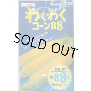 画像: [とうもろこし]　わくわくコーン88　2000粒　カネコ種苗（株）