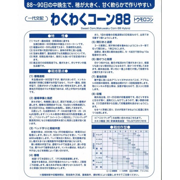 画像4: [とうもろこし]　わくわくコーン88　2000粒　カネコ交配 (4)