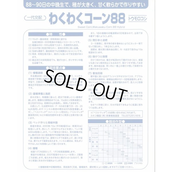 画像4: [とうもろこし]　わくわくコーン88　2000粒　カネコ種苗（株） (4)